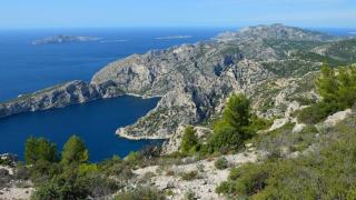 Référencement Alpes-Maritimes : SEO pour le 06